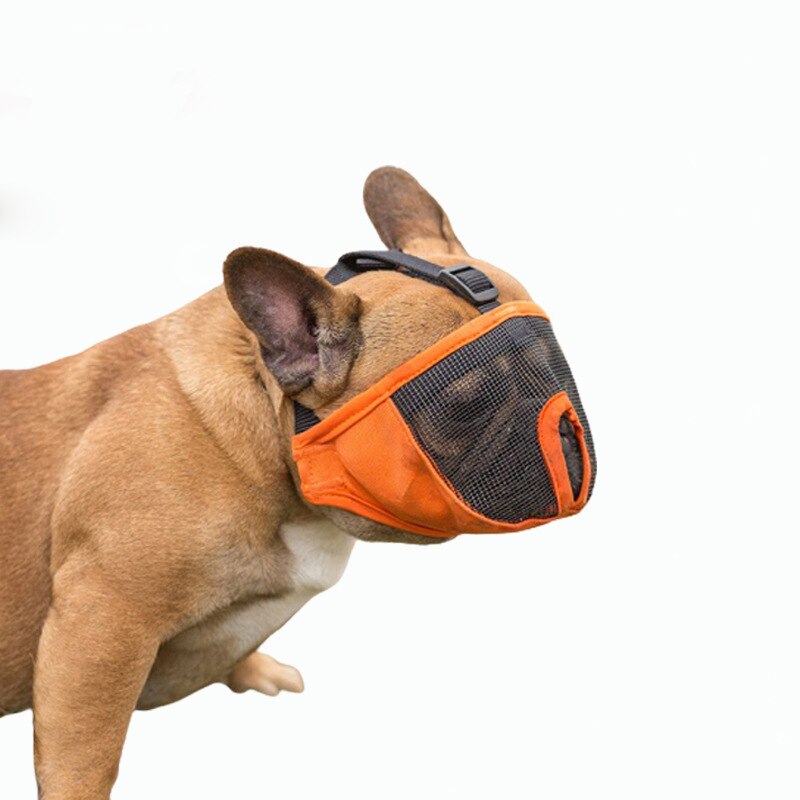 Muselière bouledogue français pour animaux de compagnie, masque pour petit animal domestique, prévention des morsures, panier de souris, respirant, laisse pour chien, fournitures de harnais
