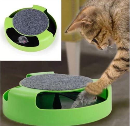 Pet Kitten Cat Toy Catch The Mouse Interactive Training Play Activity