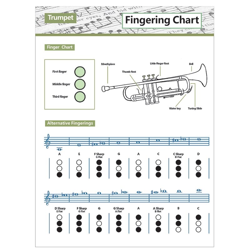 -Trumpet Practice Chart Chord Trumpet Fingering Chart Trumpet Fingering Chart Music Chords Poster: Beige