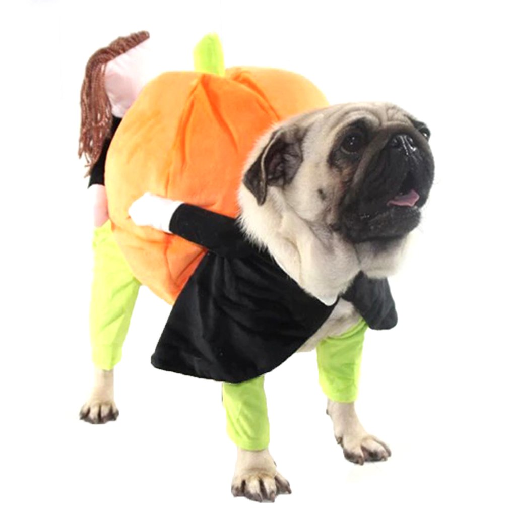 Sjovt cosplay kæledyr hundedragt græskardragt halloween tøj til hunde fest påklædning hundetøj kat tøj disfraz perro: Default Title
