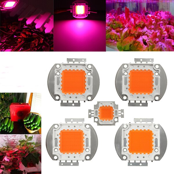 LED Chip Grow Light 10W 20W 30W 50W 100W Volledige Spectrum Plant Lamp Diodes Groei verlichting voor Tuin Bloeiende Hydrocultuur Systeem