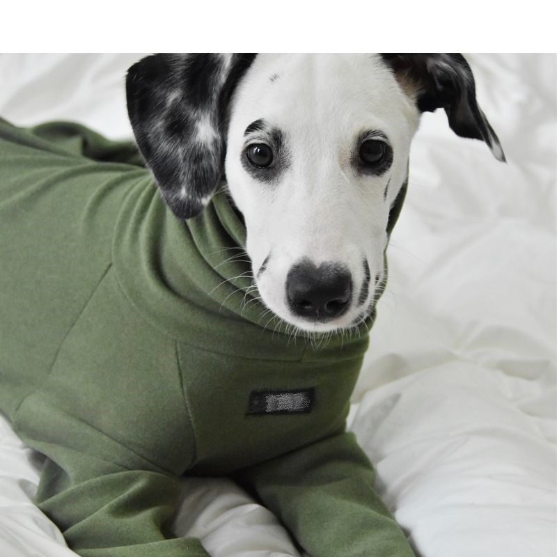 Fahison Whippet lévrier italien vêtements de luxe coton chien Jammies hiver col roulé Stretch vêtements pour animaux de compagnie: XXXL / Argent
