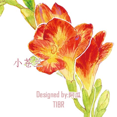Nastro adesivo decorativo per animali domestici 1 Loop We fresia Flower Grass