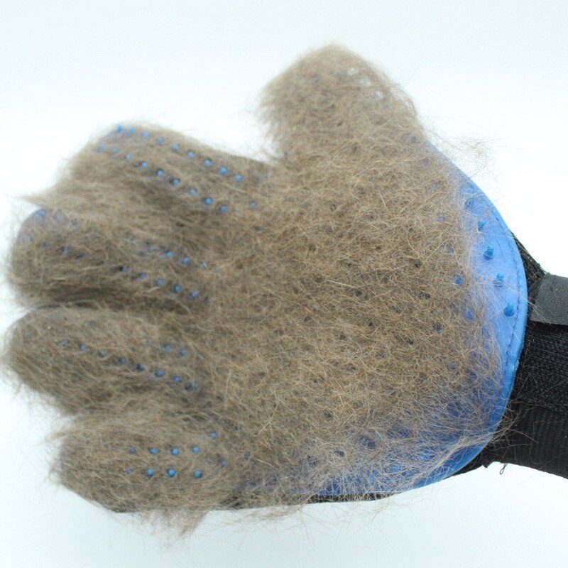 Handschoen Voor Katten Kat Grooming Hond Haar Deshedding Borstel Kam Handschoen Voor Hond Vinger Reiniging Massage Handschoen Voor dier.