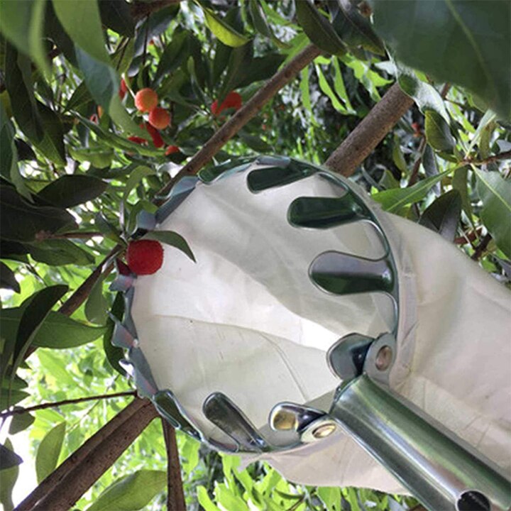 Cueilleur de Fruits Portable, panier à tête, pour la récolte, cueilleur de agrumes et de poire, outil de jardin