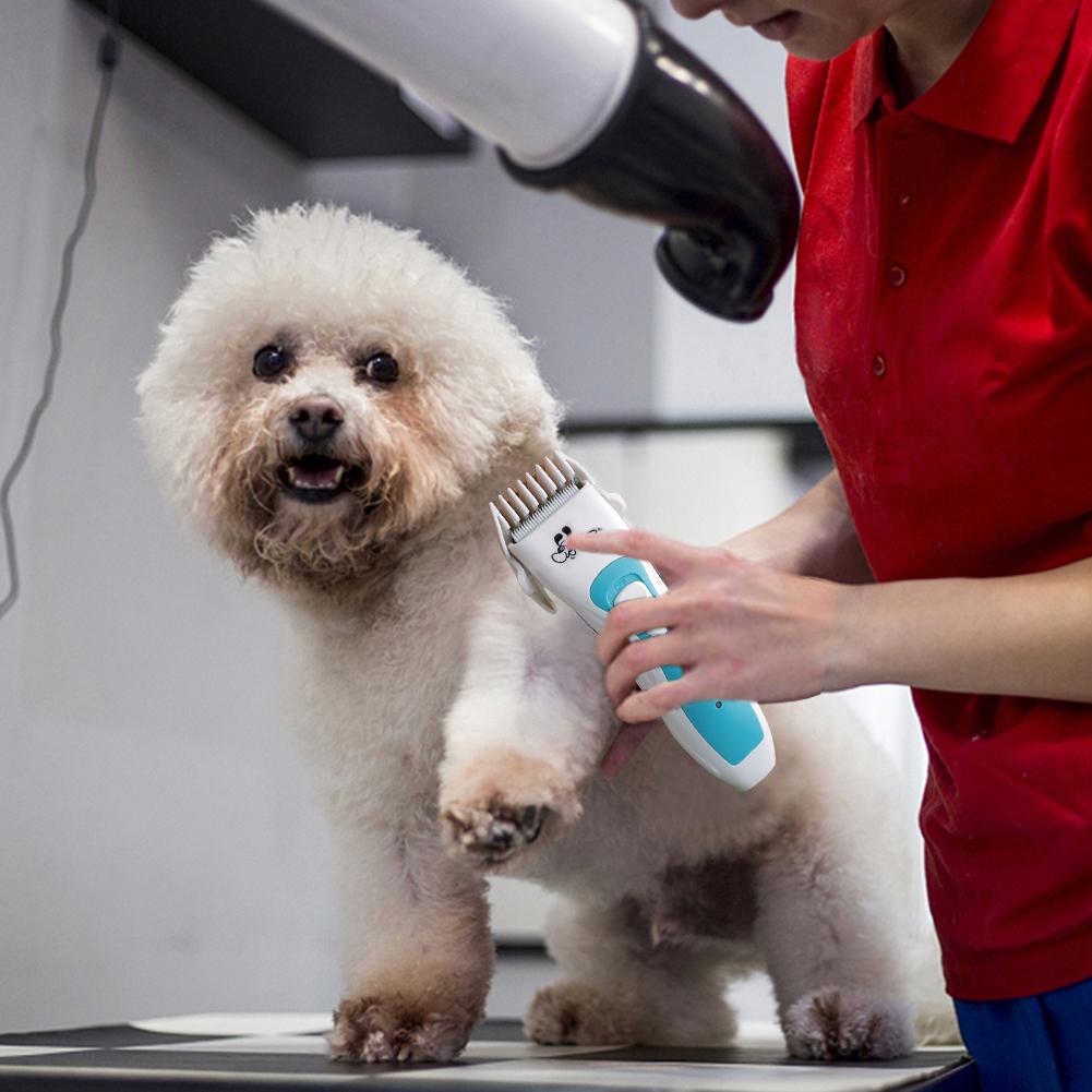 Dog Clippers Pet Hair Trimmer rechargeable for Cat Small Dogs Animal