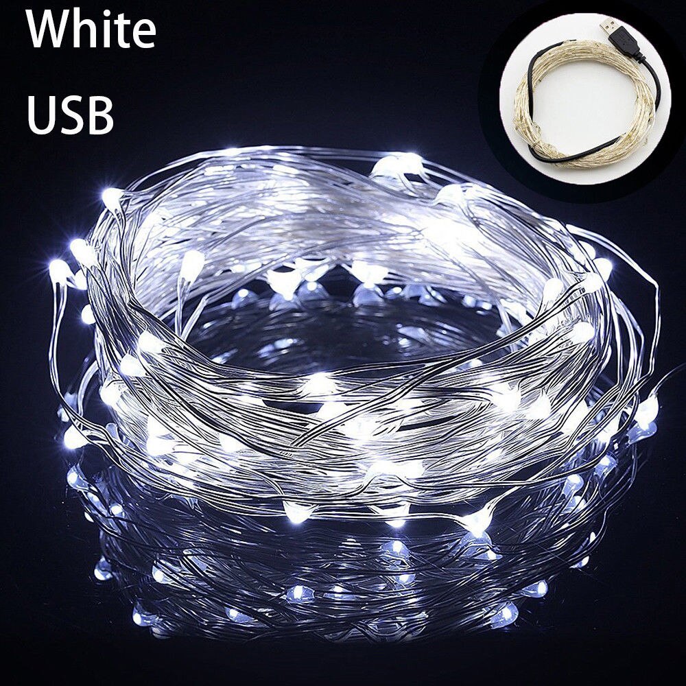 Guirlande lumineuse LED féerique en fil d'argent, 1M/5M/10M, pour noël, chambre à coucher, maison, mariage, nouvel an, décor, alimenté par USB: white / 5M 50LEDS