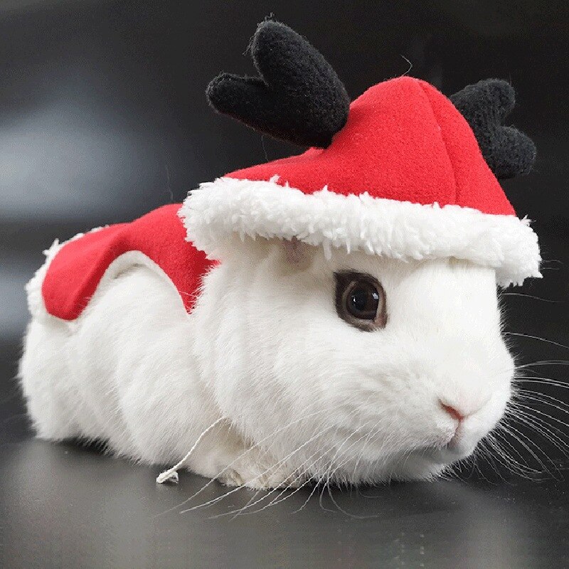 Vêtements chauds d&#39;hiver pour petit Animal, lapin, furet, Chinchilla, Costume de noël, tenue pour chien XXS, pour fête de noël
