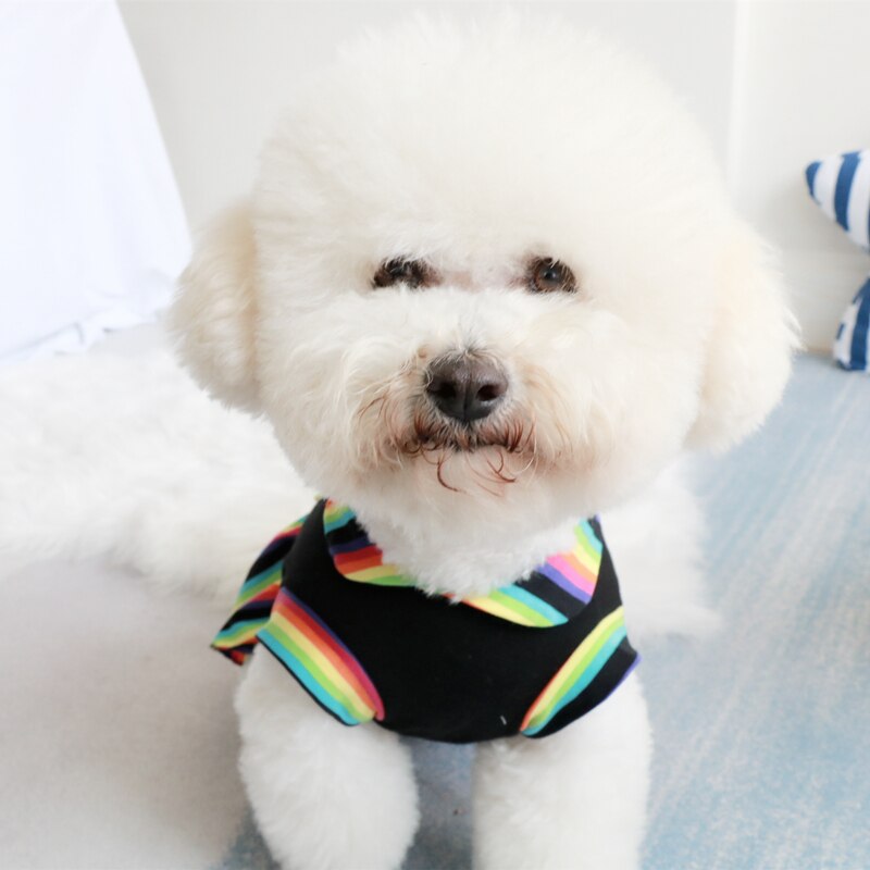 Leuke Hond Mode Regenboog Streep Prinses Jurken Zomer Zachte 100% Katoen Puppy Hond Rokken Kostuums Honden Kleding Poedel