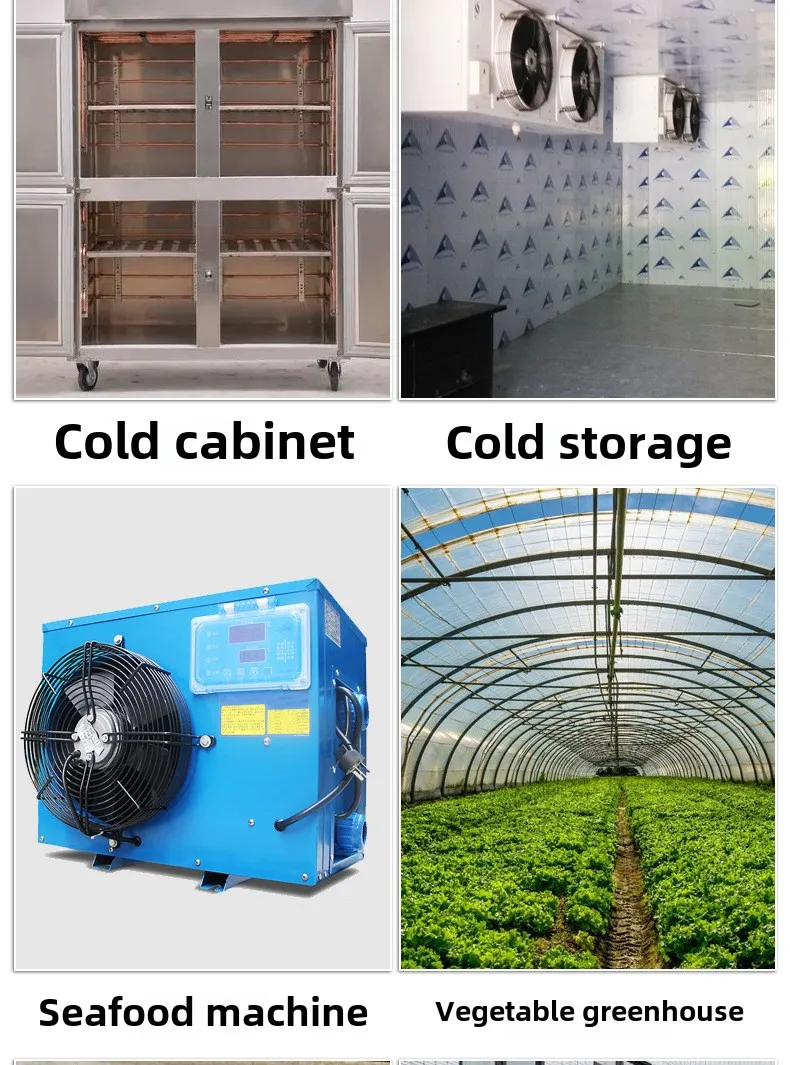 ETC-974 Temperature Controller Refrigerator Defrosting Heating Control Thermoregulator with Dual NTC Sensor 220V