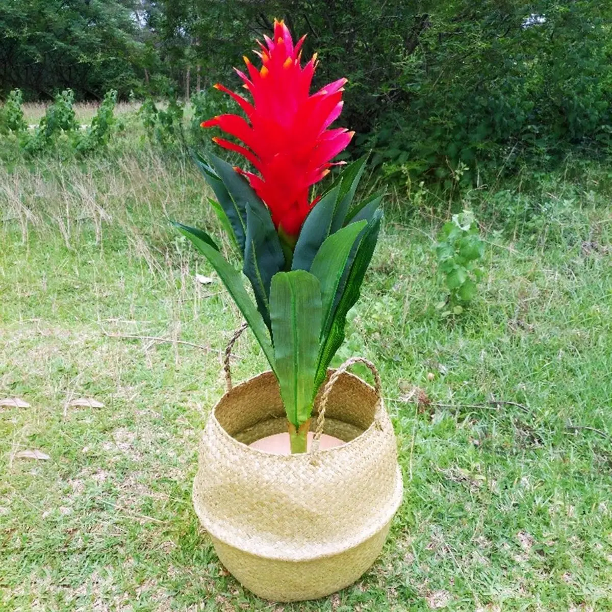 Algen-Weidenkorb, Rattan, hängender Blumentopf, Aufbewahrung von schmutzigen Kleidung, WF1015