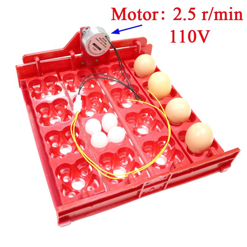 Incubadora automática de huevos de gallina, 16 huevos/64 pájaros, palomas y otras aves, equipo de incubación con Motor: 110V