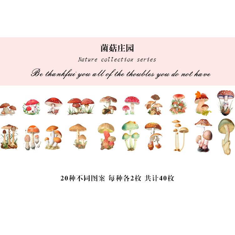 40Pcs Natuur Fotoboek Huisdier Grote Deco Stickers Plant Bloem Blad Transparante Kogel Journaling Accessoires Esthetische Stickers: D