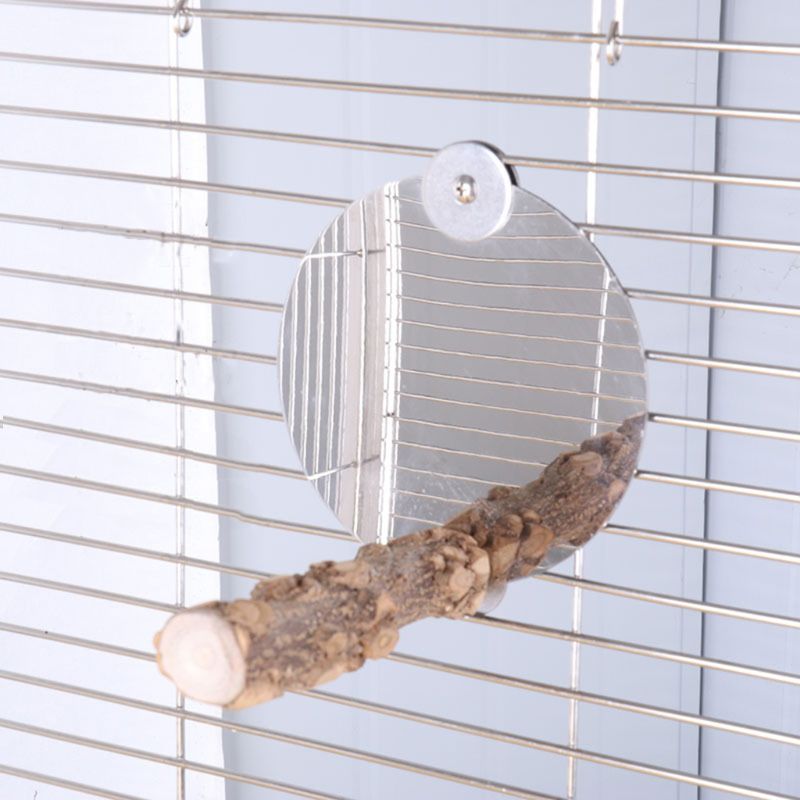 Espejo de acero inoxidable para pájaros con perca, espejo para loros, juguete para patas de pájaros, palo de madera para moler, soporte para juegos, plataforma para juguetes C42