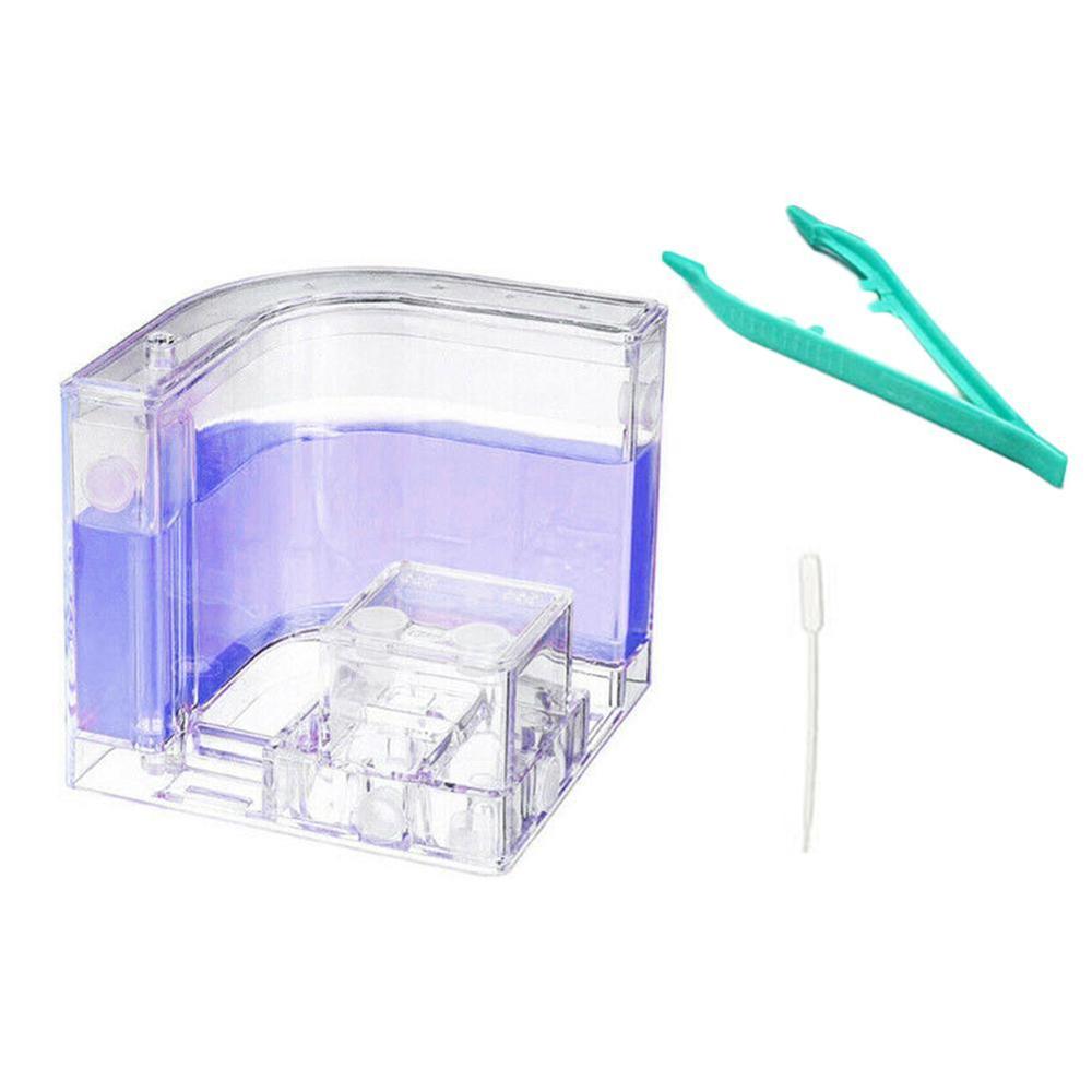 Large Acrylic Ant Farm with Feeding Area Big Ants House Ant Nest Villa Insect Pet Anthill Workshop 6 Layers 19.5*15*22cm: Purple