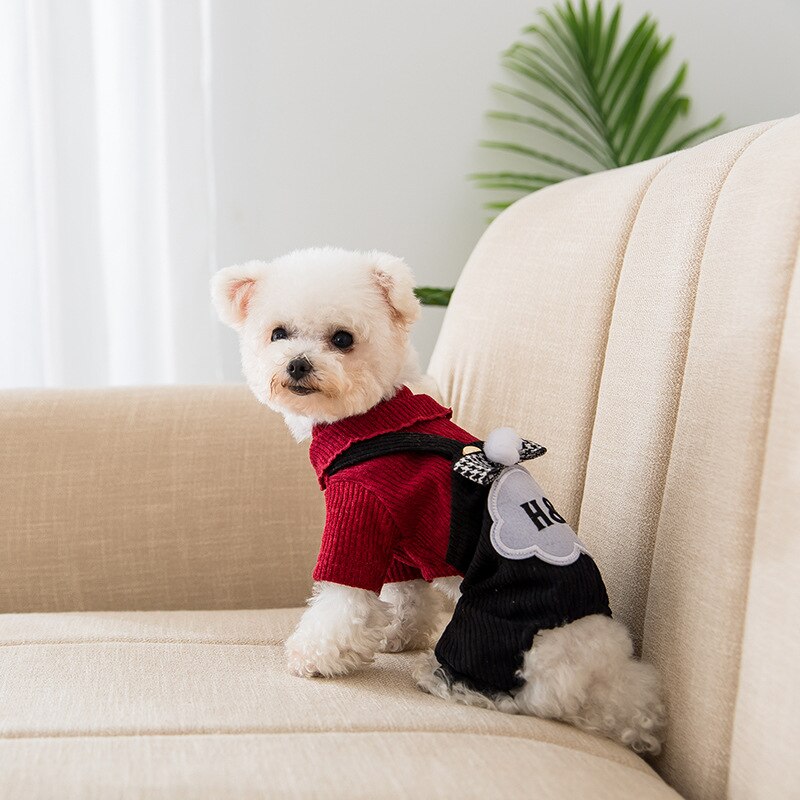 Hond Kleding Winter Huisdier Kleine Hond Dunne Kleding Bretels Broek En Viervoetige Kleding Geschikt Voor Teddybeer