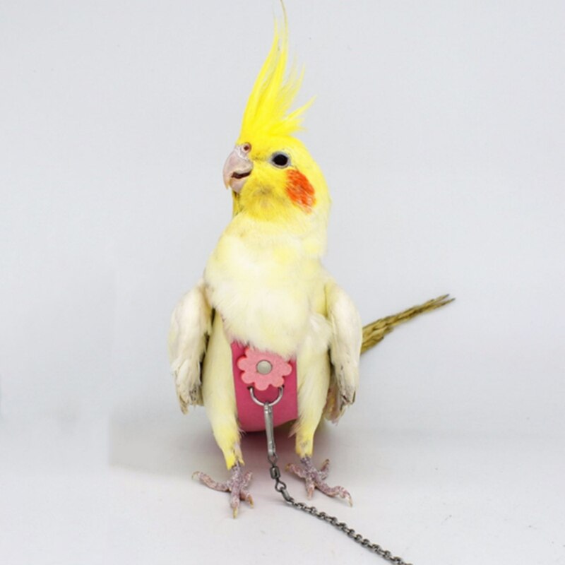 AAAK -Bird Parrot Velvet Leather Diaper with Leash Harness Rope Cockatiel Pigeons Flight Suit Clothes Feces Pocket