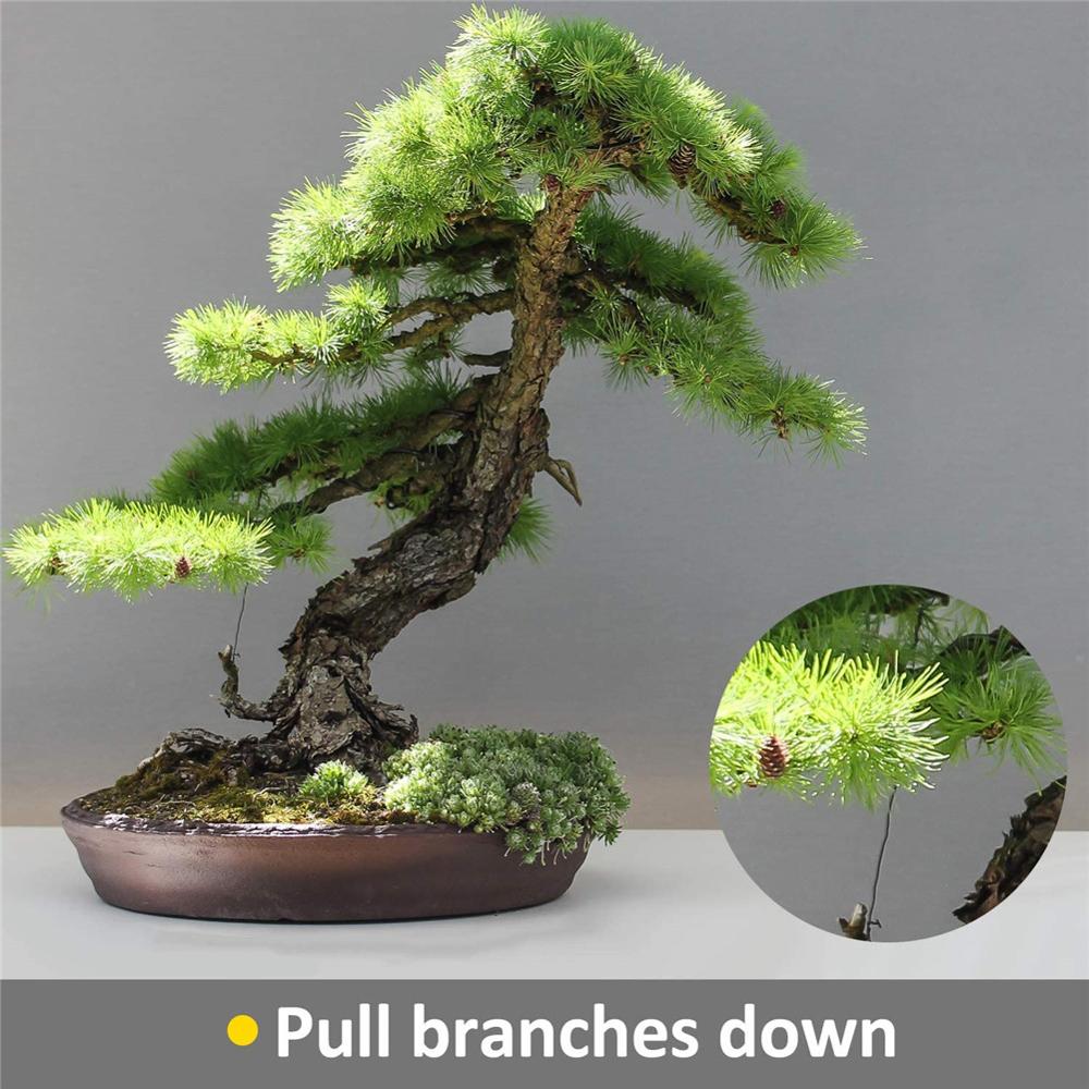 5 Rolls Bonsai Wires Anodized Aluminum Bonsai Training Wire with 3 Sizes (1.0 Mm,1.5 Mm,2.0 Mm)