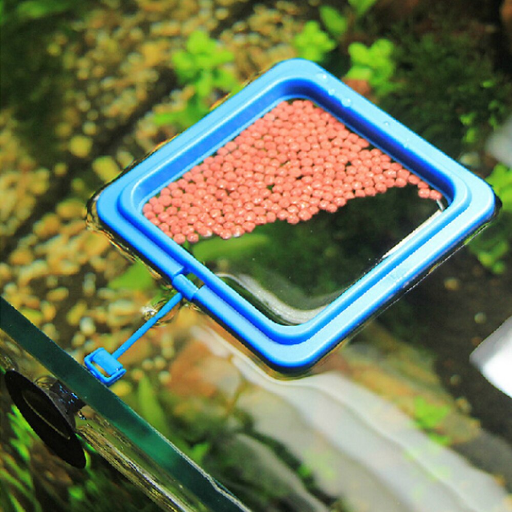 Anneau d'alimentation flottant en plastique pour poissons, équipement d'aquarium, carré ou rond, à forte ventouse, 1 pièce