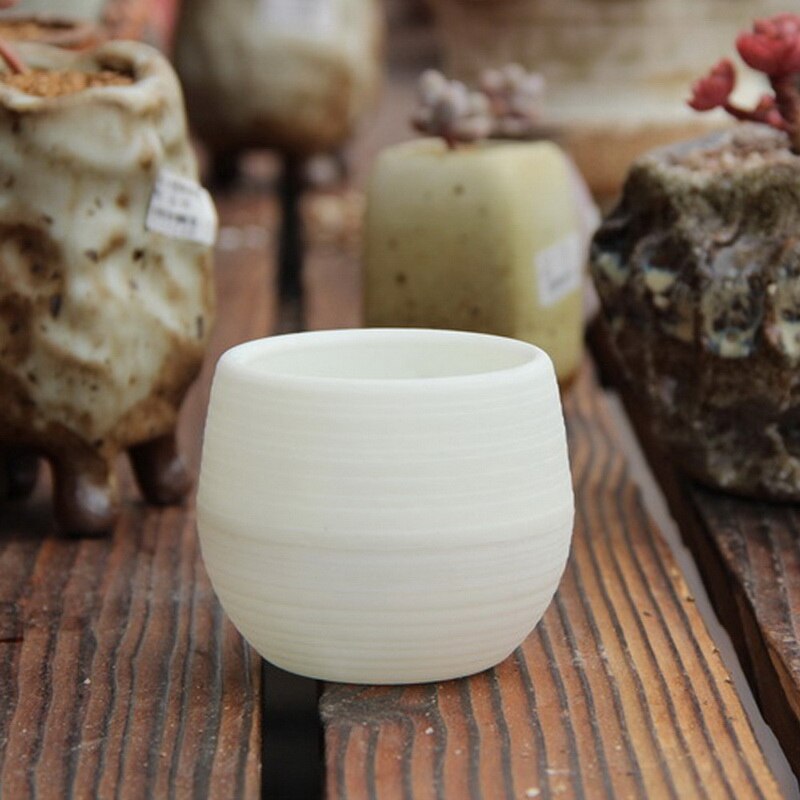 Macetas pequeñas bonitas de plástico para plantas, macetas de flores para suculentas, macetas para interior, hierbas, jardín, hogar: white