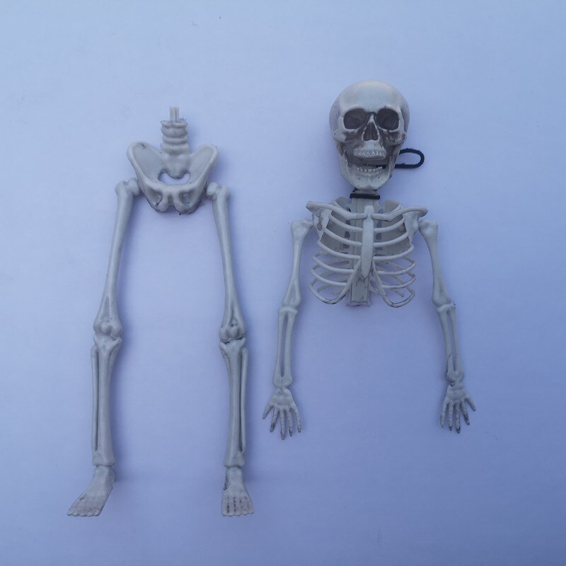 Accessoires d'halloween squelette crâne peur | Crâne réaliste à la main, corps humain, posable, modèle d'anatomie, décoration de Festival fête