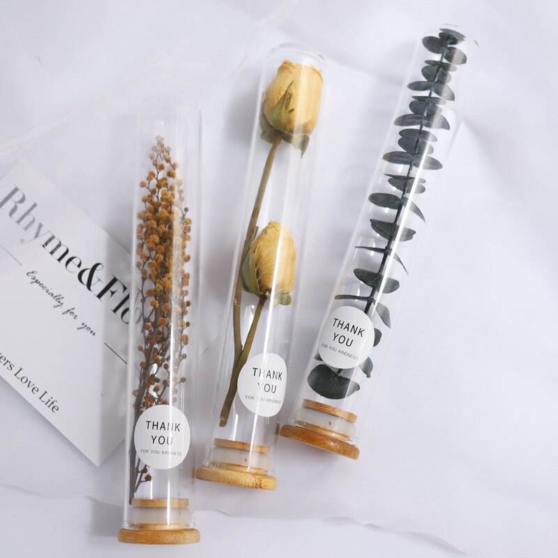 Dried Flower Glass Test Tube Decorations Family Living Room Study Specimens Ornaments