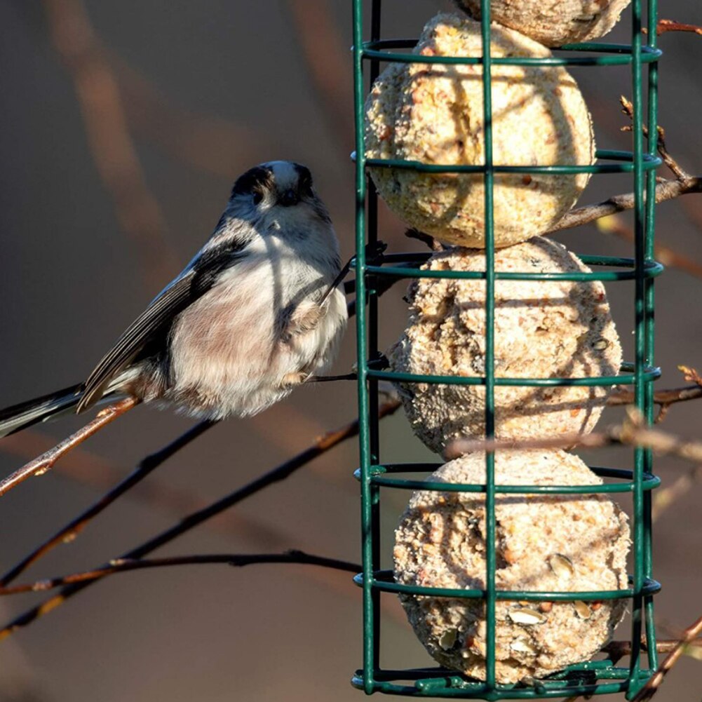 Transparent Window Bird Feeder Clear Birdhouse Suction Cup and Hanging Bird Feeders For Outside Garden Yard Pet Birds