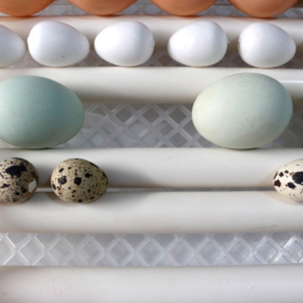 Egg Incubator Fully Automatic 16 Eggs/7eggs Digital Mini Brooder Small Chicken Bird Egg Incubator Automatic Farm Incubation Tool