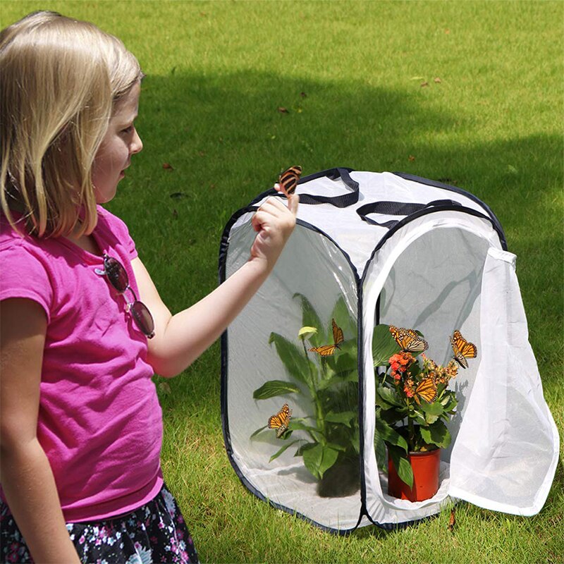 Insekt- og sommerfuglehabitat-terrariumpop -up 23.6 tommer høj (hvid + sort)