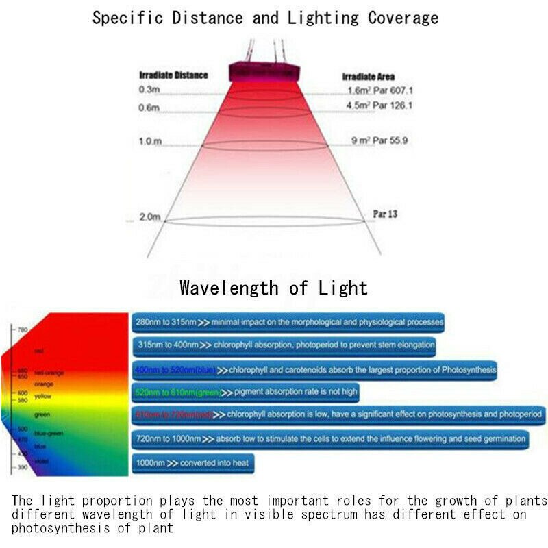 E27 200 Led Plant Licht Groeien Lamp Bloemzaden Gg Lampjes Hydrocultuur