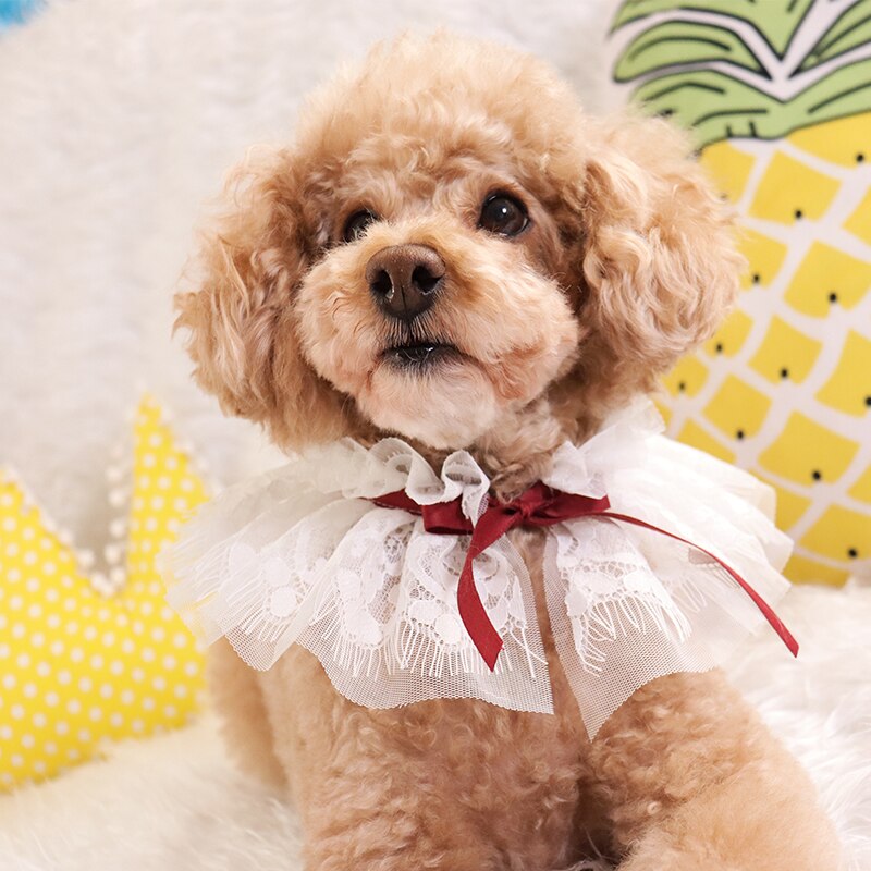 Puppy huisdier accessoires honden konijn kant halsband speeksel handdoek jaar kerstmis nek omtrek