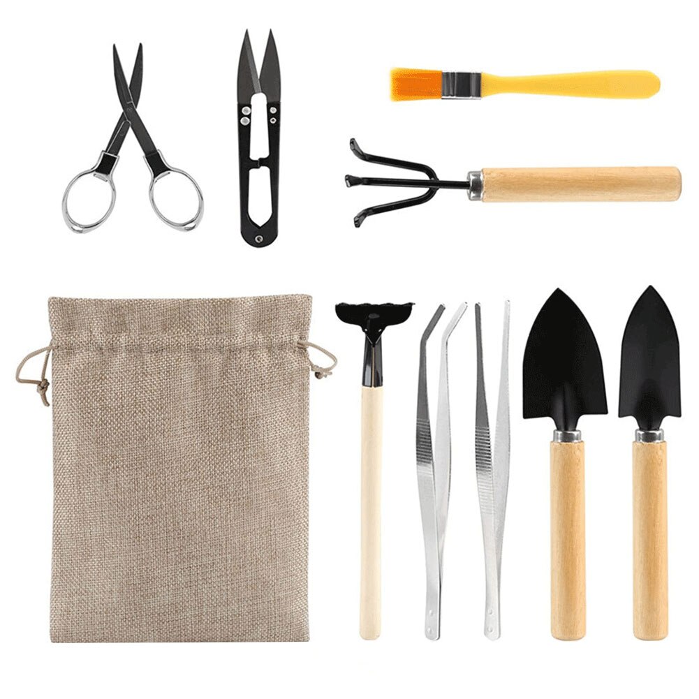 Garden Transplanting Kit Succulent Care Succulent Transplant Tool Accessories Gardening Hand Planting Tools Set Flowers Supplies: MULTI