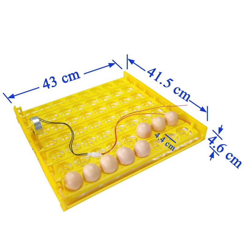 Incubadora automática de 56 huevos, 110V/220V, Incubadora automática de huevos, equipo de incubación para aves de corral, ,