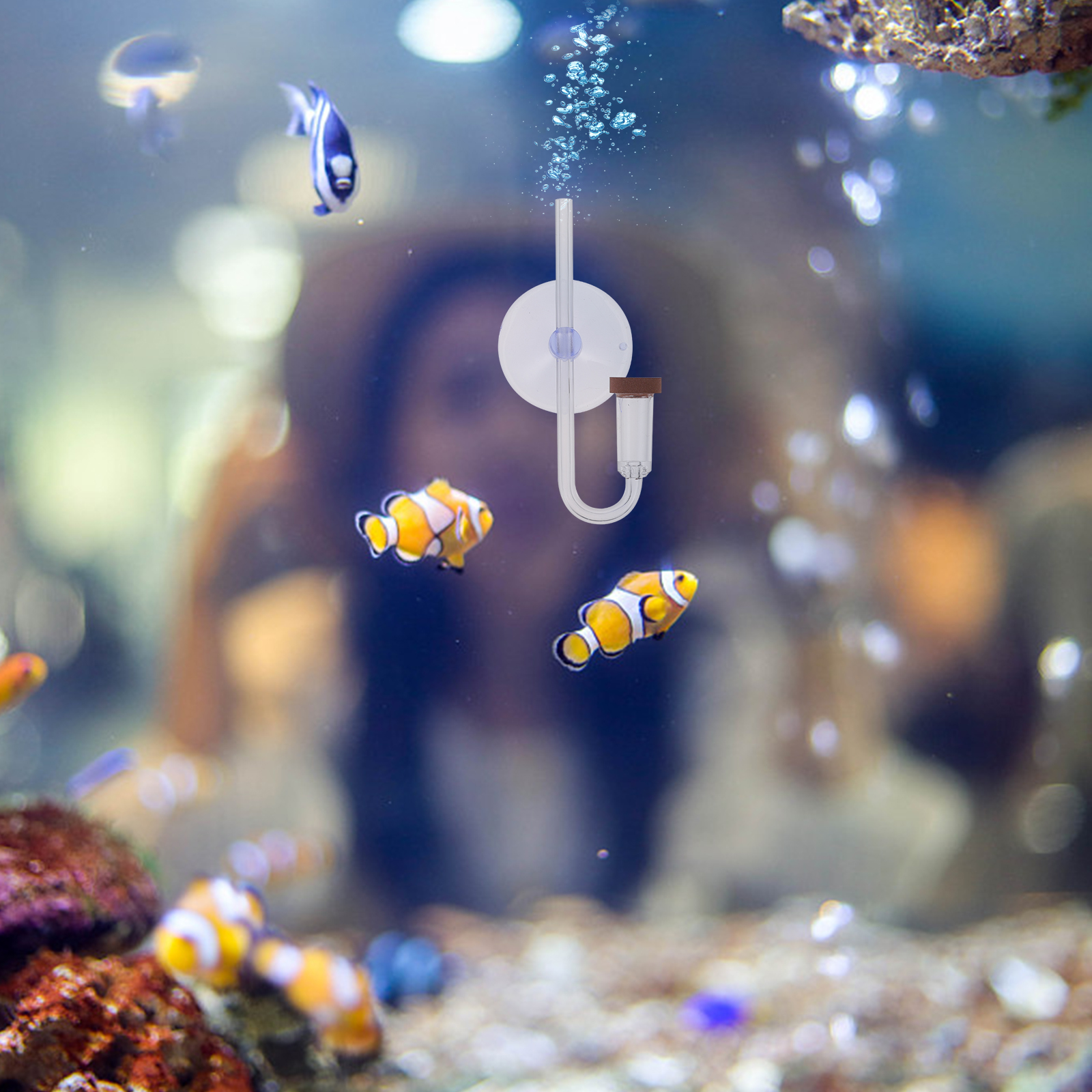 1 Set CO2 Diffuser for Water Plant Carbon Dioxide Diffuse System Aquarium Tool