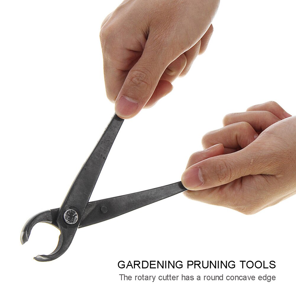 Cortacésped cóncavo de 8.27in, herramientas profesionales para bonsái, podadora de plantas, cortador de borde redondo para jardín, tijeras para principiantes, cuchillo, herramientas de jardinería