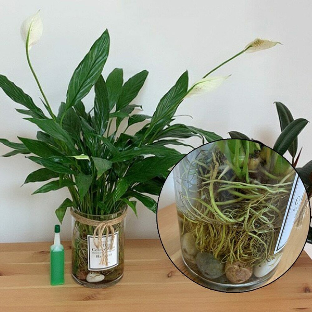 ml Hydroponic Plant Nutrient Solution Fertilizer Bamboo Flower