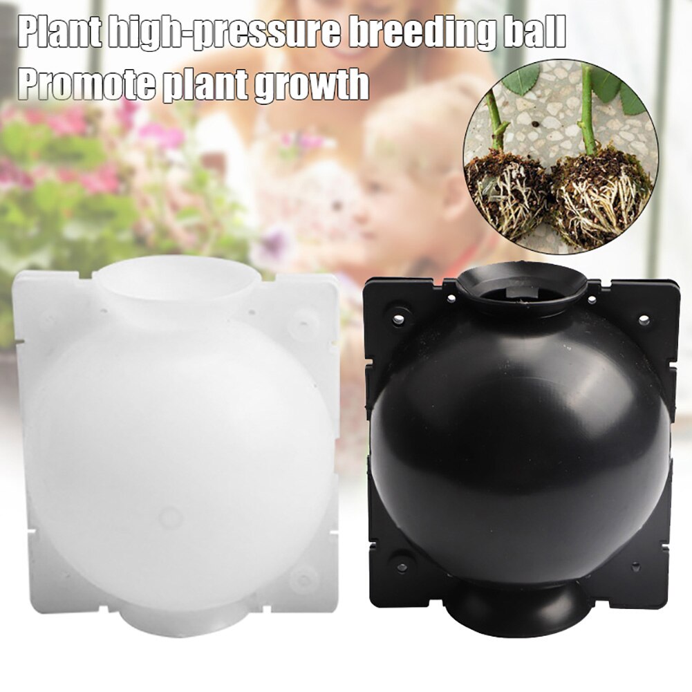 thumbnail interactive-video image 1 of High Pressure Plant Rooting Box – Reusable Propagation Balls For Fast Grafting 1 of 6