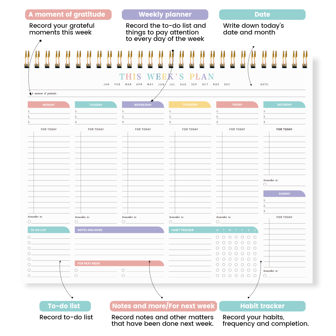 Minimalist Weekly Planner Pad | Undated Schedule Organizer with Habit Tracker & To-Do List | Daily Task Notepad