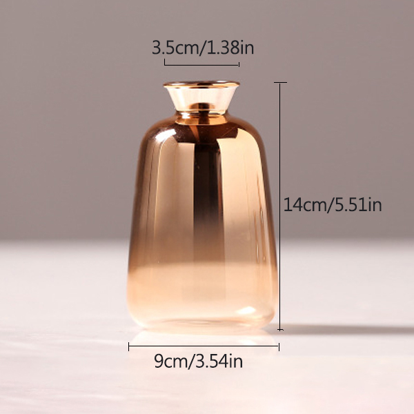 Nordisk glasvas silvergradient torkad blomvas skrivbordsprydnader heminredning roliga växter krukor inredning: L