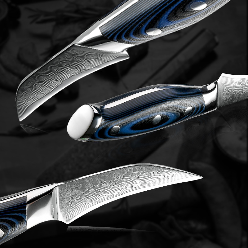 Grandsharp 3.5 Inch Paring Knife vg10 Japanese 67 Layers Damascus Steel Peeling Fruit Kitchen Knife with G10 Handle