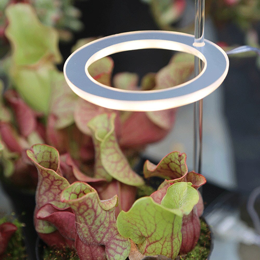 Led Grow Light Volledige Spectrum Phyto Groeien Lamp Usb Phytolamp Voor Planten 5V Lamp Voor Planten Groei Verlichting Voor indoor Plant Home