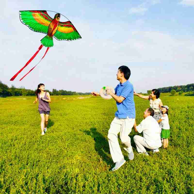 Cometa de loro para despegar, de viento normal, con patrones elegantes, clásica