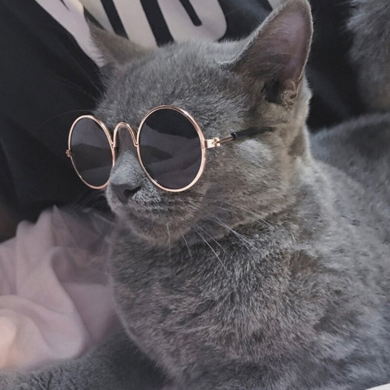 Gafas de sol redondas para mascotas, accesorios divertidos de para perros y gatos, productos de suministro