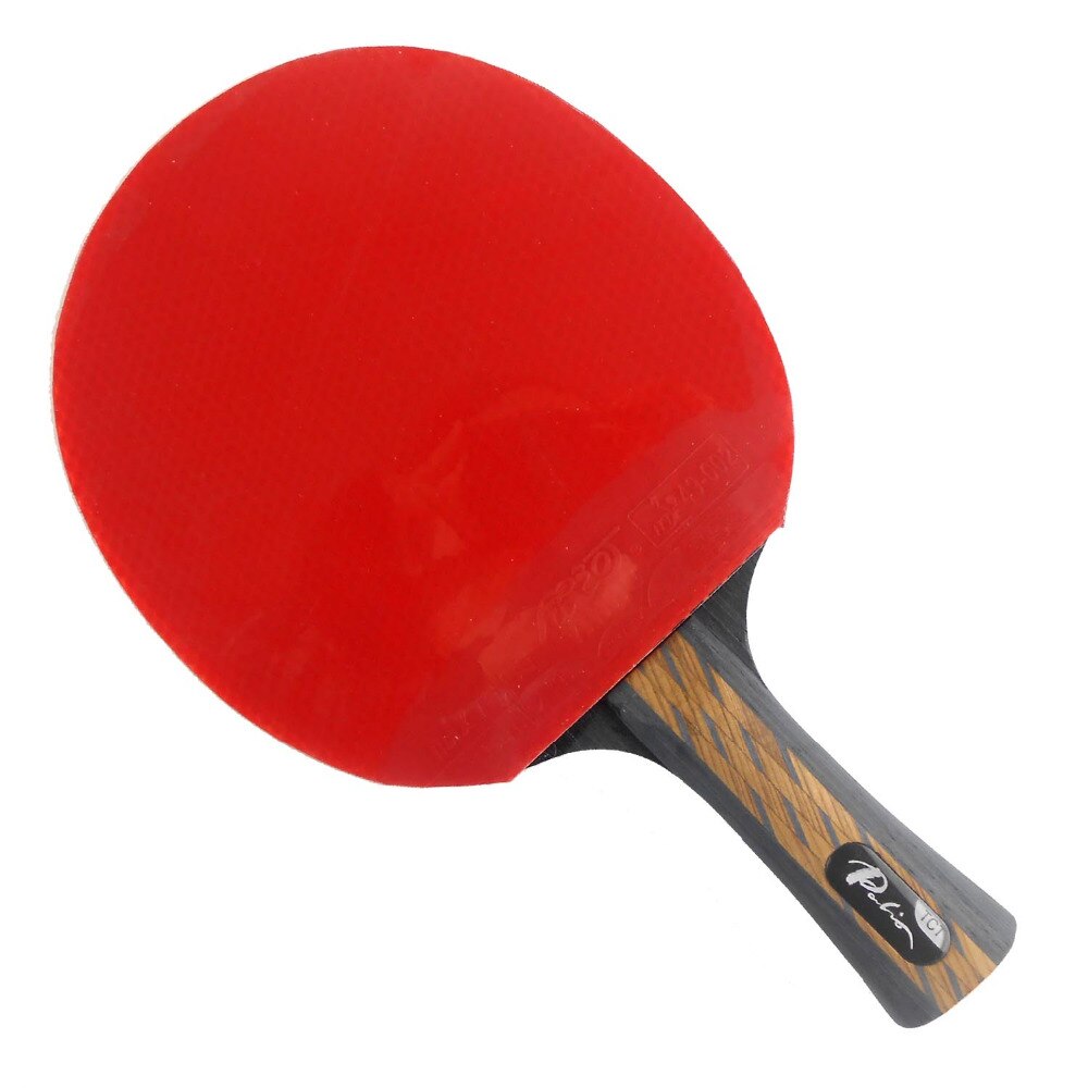 Palio TCT Table Tennis Blade with Galaxy YINHE Sun / Moon Rubber with Sponge Long shakehand FL