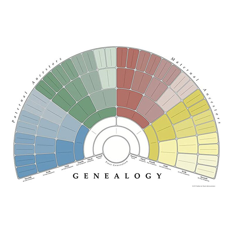 Family Tree Chart To Fill In 5/6/7 Generation Genealogy Poster Blank Fillable Ancestry Chart TN99