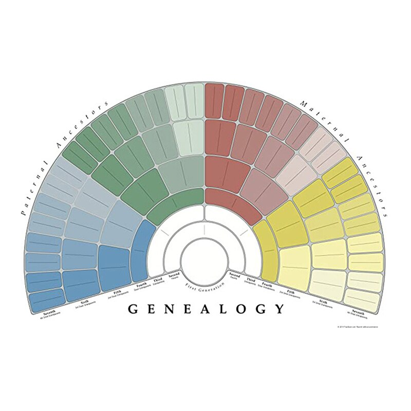 Släktträdsschema för att fylla  in 5/6/7 generations släktforskningsaffisch tomt fyllbart förfäder diagram  tn99