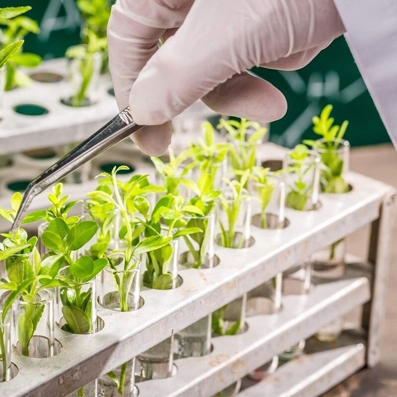 50pcs/pack 12x100mm Transparent Plastic Round-bottom Tube Sample Bottle, Office Laboratory Experiment Supplies with Lid