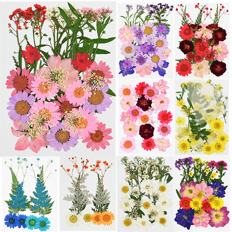 1Pc Kleine Gedroogde Bloemen Pressed Daisy Bloem Festival Party Home Diy Scrapbooking Decoratie Droog Daisy Bloemen Decor Levert 8z