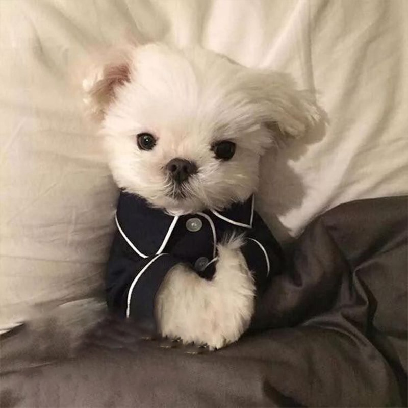 Dog Pajamas Winter Dogs Jumpsuit French Clothes for Dogs Chihuahua Ropa Perro Small Dog Clothing Pet Overalls Bulldog