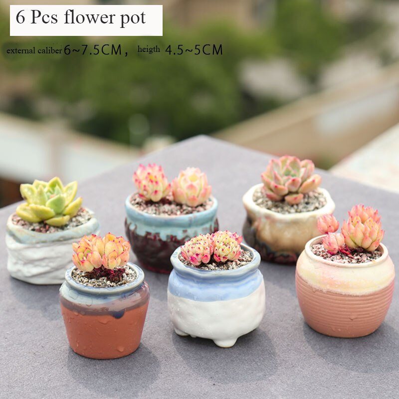 Leuke En Mooie Bloempot Sappige Cactus Pot Plant Tuin Keramische Planter Mini Potten Outdoor Garden Home